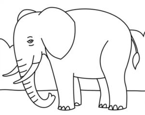 how to draw animals using letters and numbers