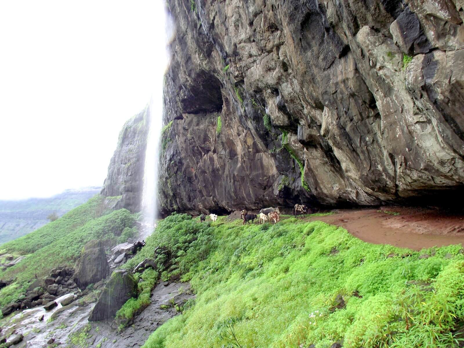 harishchandragad trek