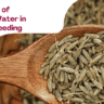 Benefits of Cumin Water in Breastfeeding