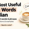 80 Essential Words and Phrases